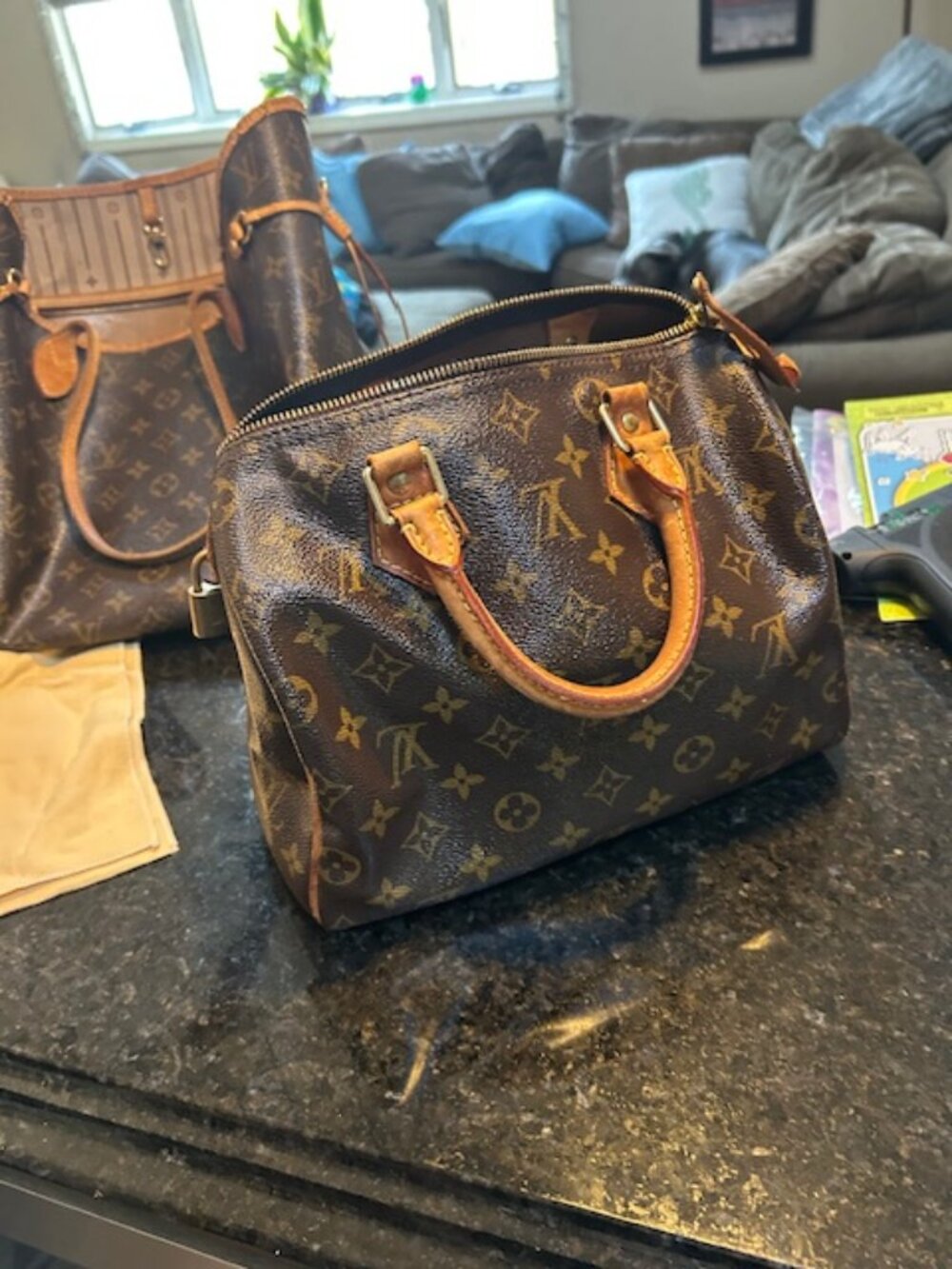 Louis Vuitton Speedy 30 – Monogram Canvas Classic